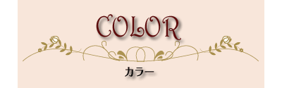 カラーメニュー