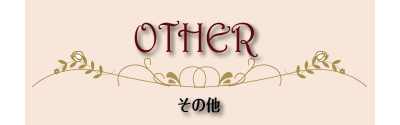 その他メニュー